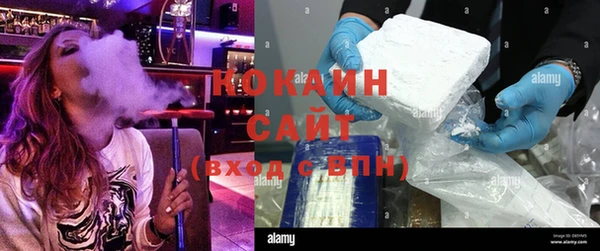 гидропоника Алзамай