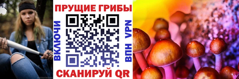 сайты даркнета как зайти  MEGA ссылки  Берёзовский  цена наркотик  Галлюциногенные грибы Psilocybine cubensis 