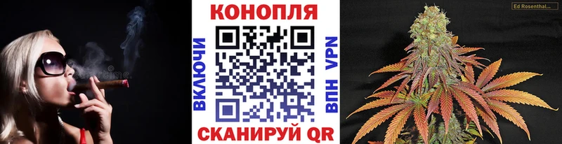 Бошки марихуана марихуана  Берёзовский 